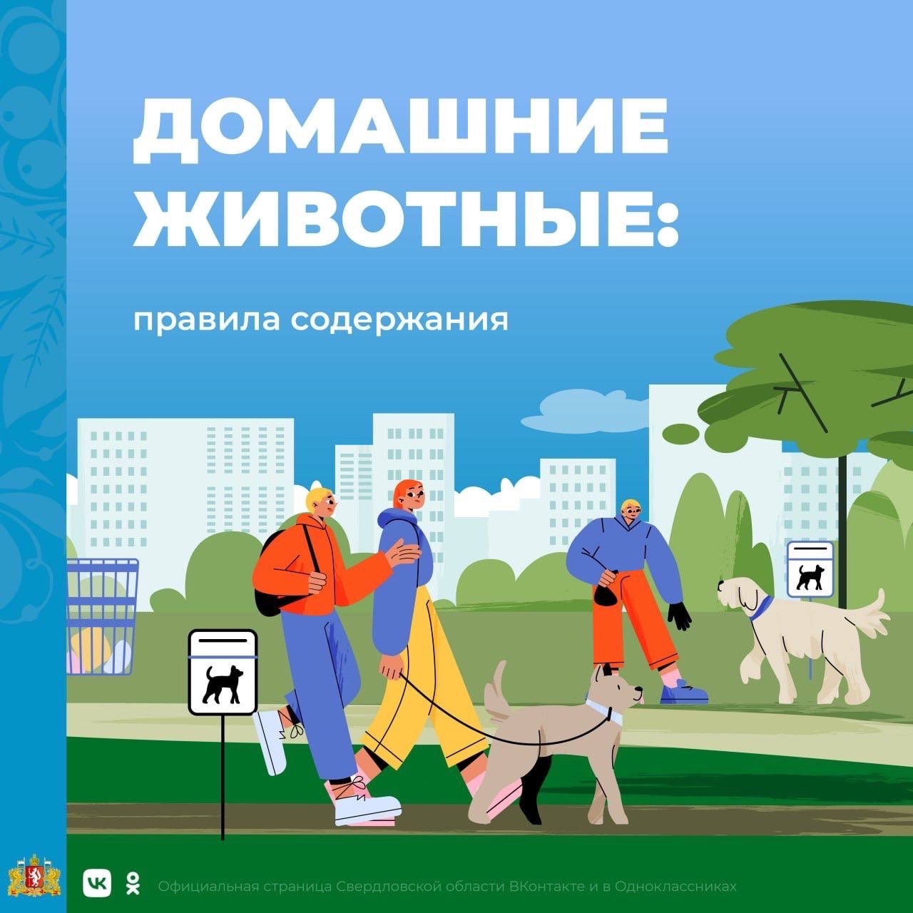 Правила содержания